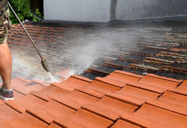 Best House Pressure Washing  in Manito, IL