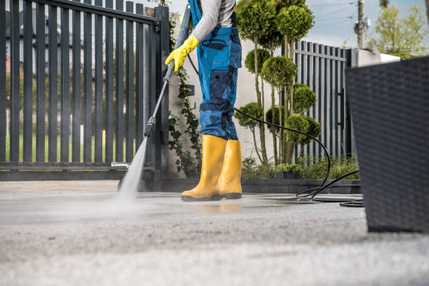 Best Exterior Home Cleaning  in Manito, IL