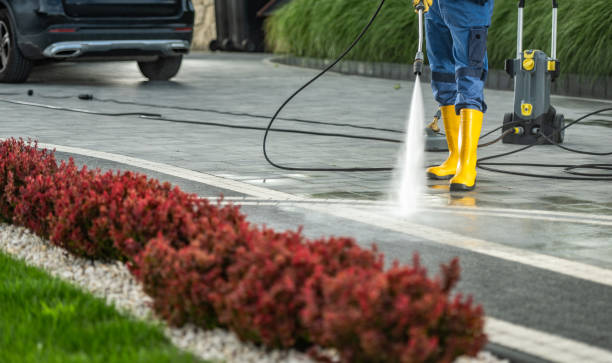 Best Roof Pressure Washing  in Manito, IL